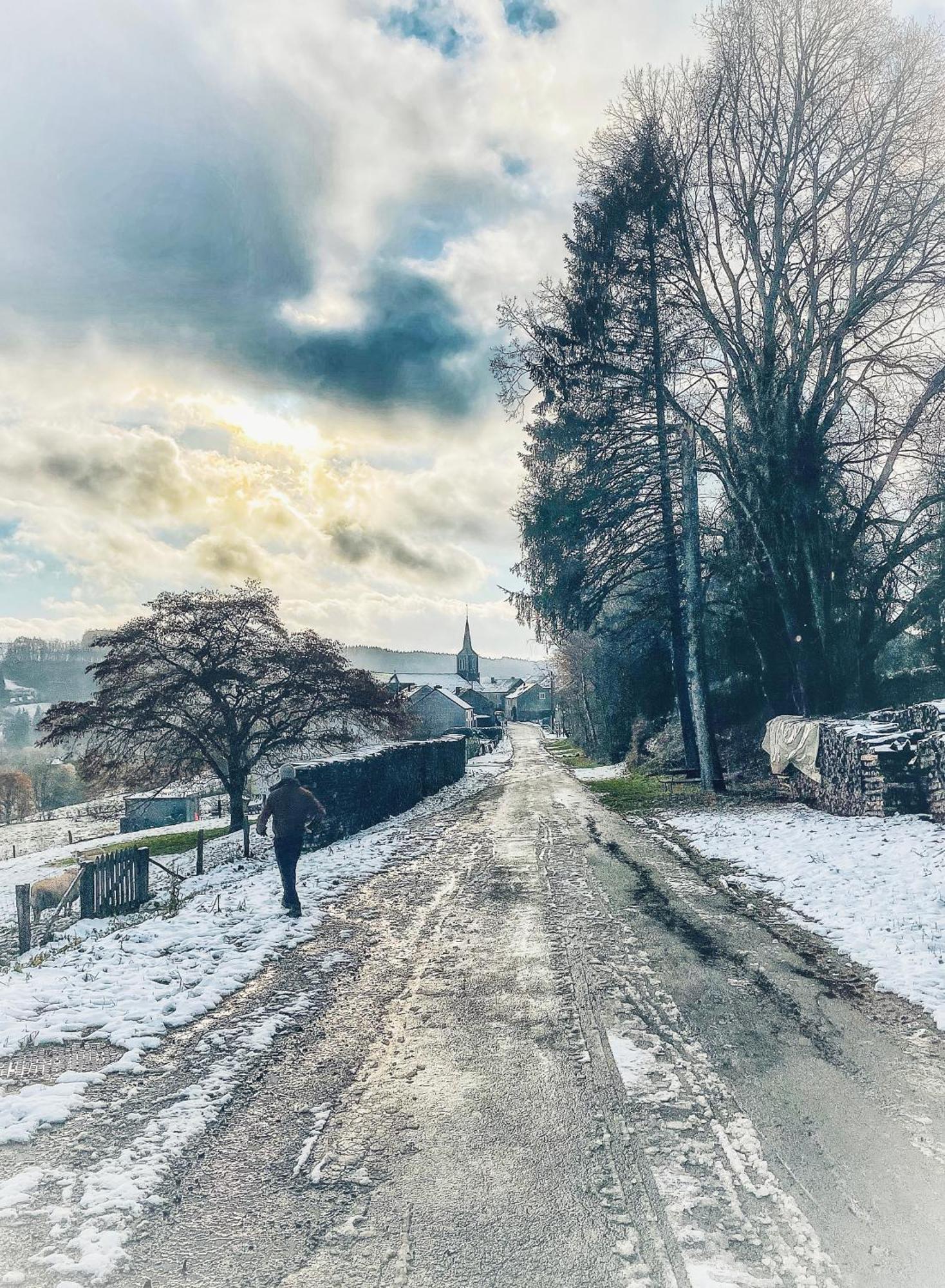 Daverdisse L'Art De La Fugue Bed & Breakfast エクステリア 写真